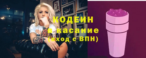 соль ск Пересвет