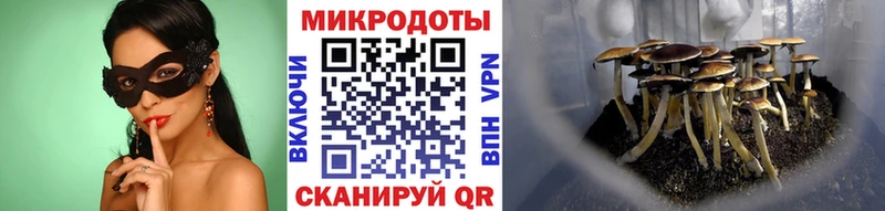 omg tor  Петровск-Забайкальский  Галлюциногенные грибы мицелий  где купить наркоту 